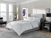 Penthouse Edition Comforter