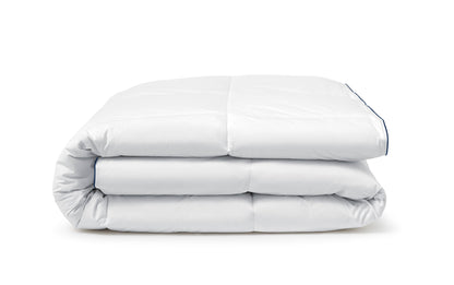 Penthouse Edition Comforter