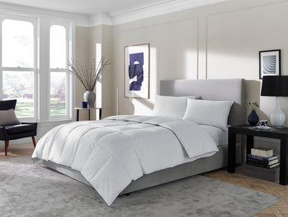 Penthouse Edition Comforter